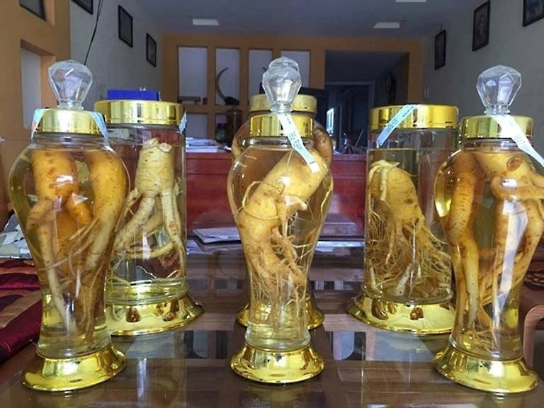 Việt Nam có một loại cây dược liệu quý, được gọi là 'nhân sâm của người nghèo', giá thành cực rẻ  - ảnh 4