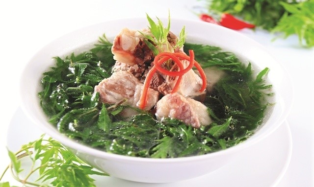 Việt Nam có một loại cây dược liệu quý, được gọi là 'nhân sâm của người nghèo', giá thành cực rẻ  - ảnh 2