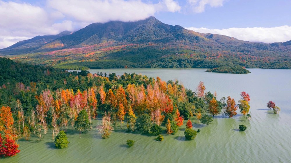 Miền Trung của Việt Nam có một nơi được ví như 'góc trời Âu thu nhỏ', rừng phong hương đổi màu đẹp ngỡ ngàng - ảnh 1