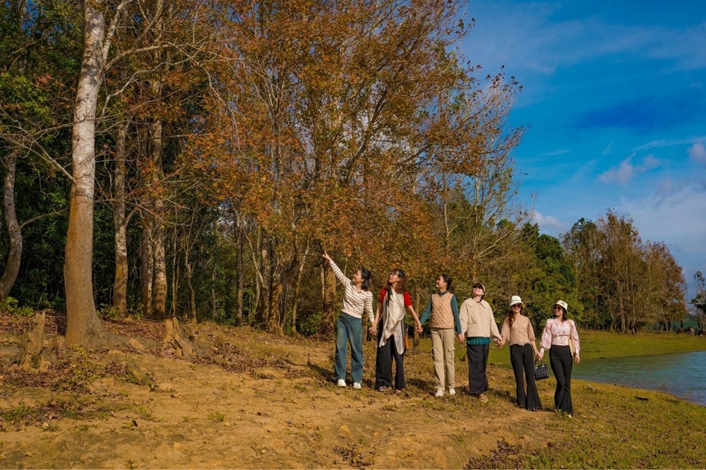 Miền Trung của Việt Nam có một nơi được ví như 'góc trời Âu thu nhỏ', rừng phong hương đổi màu đẹp ngỡ ngàng - ảnh 4
