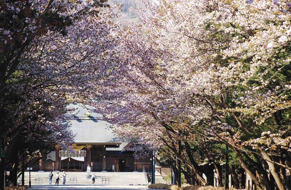 Quốc gia 3 năm liên tiếp được báo Mỹ vinh danh 'hấp dẫn nhất thế giới', đón lượng khách Việt cao kỷ lục - ảnh 6