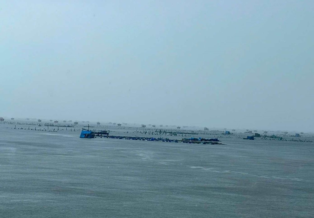 'Thủ phủ tôm hùm' bị xóa sổ - ảnh 1