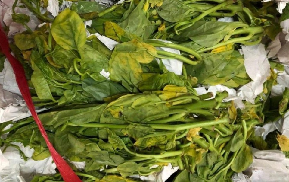 5 dấu hiệu nhận biết rau củ bị ngâm hóa chất - ảnh 2