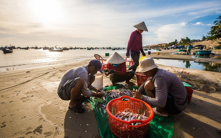 'Thiên đường du lịch miền Trung' được dự báo sẽ 'bùng nổ' trong năm 2026 - ảnh 6