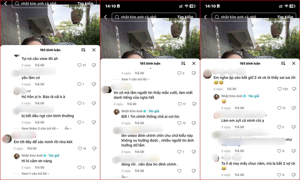 Nhật Kim Anh lên tiếng - ảnh 3