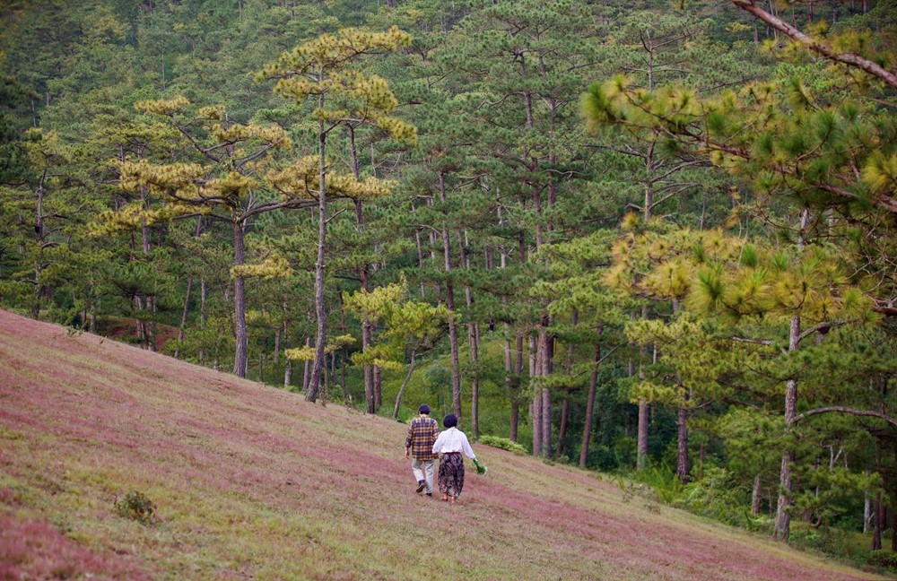 Nơi được mệnh danh là 'tiểu Paris của Việt Nam' có lượt tìm kiếm nhiều nhất trên Google 2025 - ảnh 6