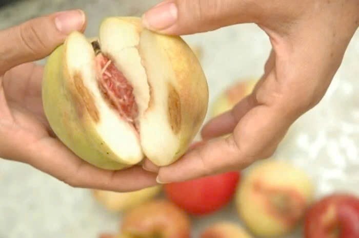 6 thói quen khiến cả nhà bị ung thư, bệnh tật - ảnh 1