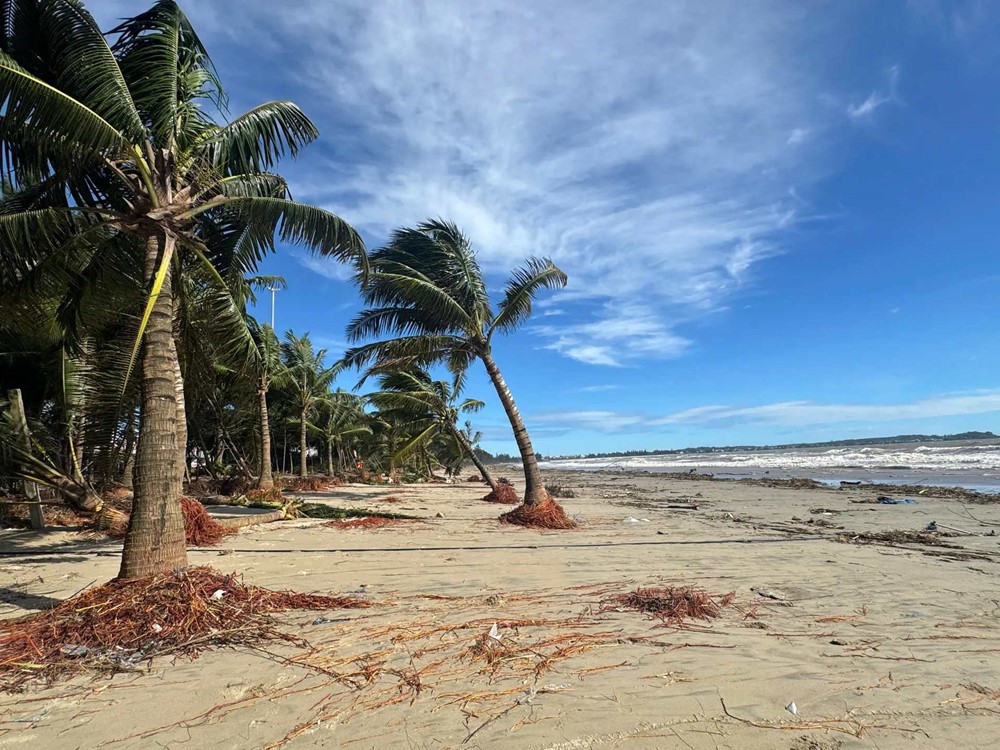 Cảnh hoang tàn ở bãi biển đẹp bậc nhất miền Trung - ảnh 4
