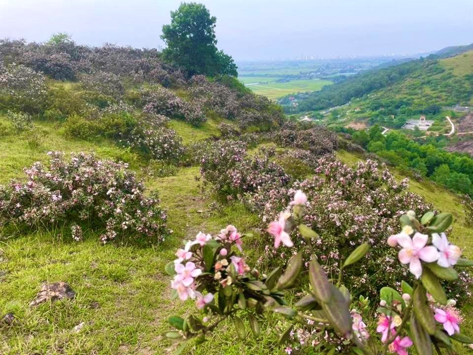 Việt Nam có một ngọn núi cao chỉ hơn 100m nhưng có thế 'tựa sơn - vọng thủy' hiếm có, sở hữu thành cổ hơn 600 năm - ảnh 8