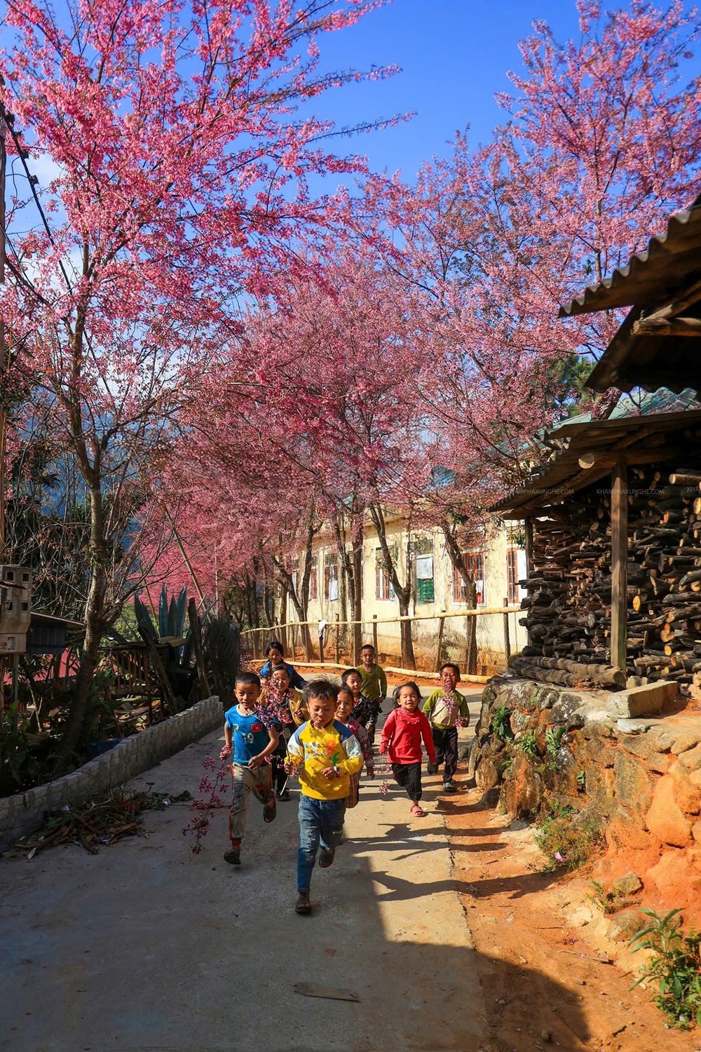 Ngôi làng miền biên viễn xứ Nghệ được ví như 'Nhật Bản thu nhỏ', sở hữu cảnh đẹp đến nao lòng - ảnh 5