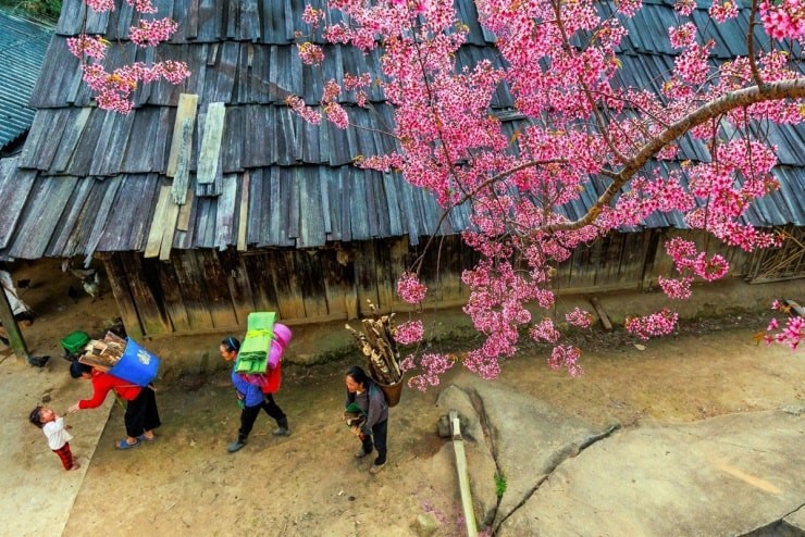 Ngôi làng miền biên viễn xứ Nghệ được ví như 'Nhật Bản thu nhỏ', sở hữu cảnh đẹp đến nao lòng - ảnh 2