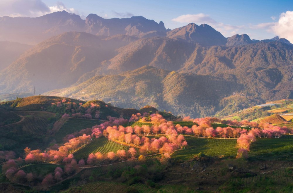 Cùng với Nhật Bản, Indonesia, Việt Nam có 'Điểm đến tăng trưởng nhanh nhất châu Á năm 2025' - ảnh 1