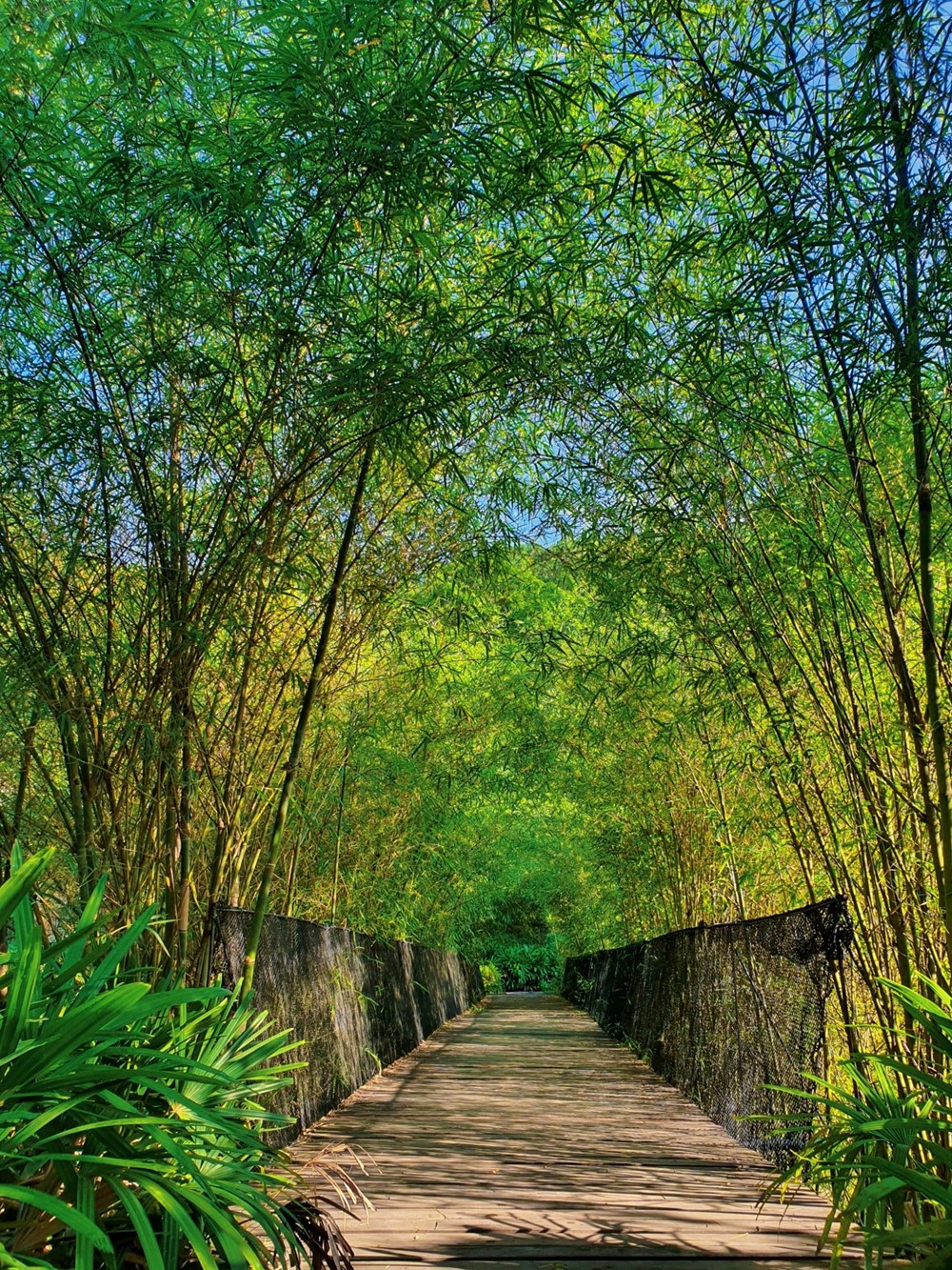 Khu du lịch đầu tiên của Việt Nam đạt chứng nhận quốc tế phát triển bền vững: Rộng 165ha, nằm dựa lưng núi Hòn Bà - ảnh 7