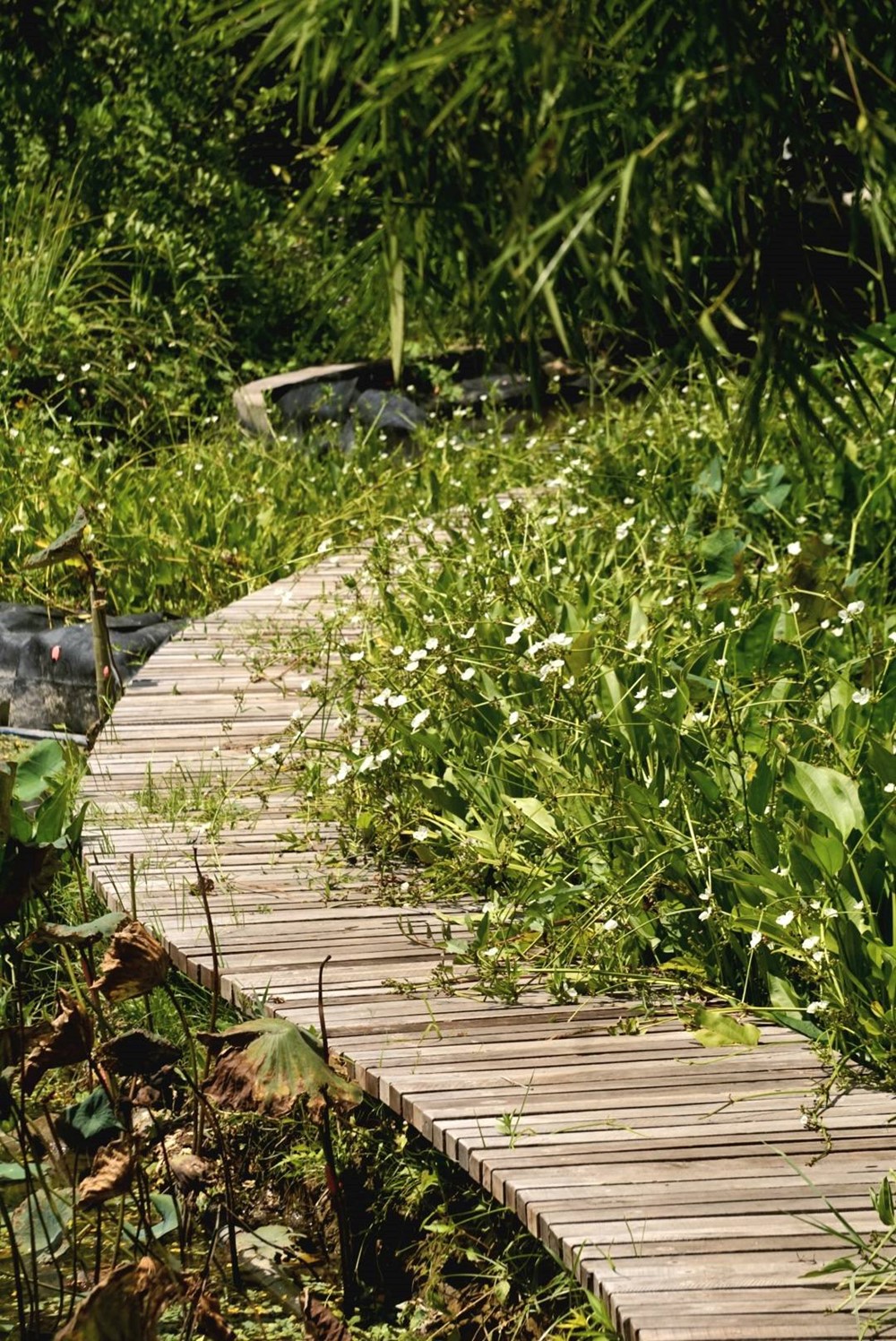 Khu du lịch đầu tiên của Việt Nam đạt chứng nhận quốc tế phát triển bền vững: Rộng 165ha, nằm dựa lưng núi Hòn Bà - ảnh 8