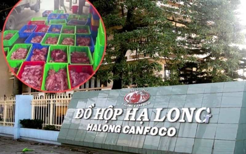 Chính thức khởi tố Tổng Giám đốc Công ty Đồ hộp Hạ Long - ảnh 1