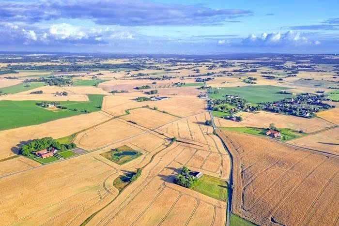 Lo nạn đói và chiến tranh, loạt quốc gia âm thầm gom lương thực với tốc độ chưa từng có: Chuyện gì đang xảy ra? - ảnh 3