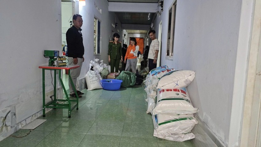 Khám xét 1 phòng trọ, thu giữ hơn 600kg bột ngọt, hạt nêm và 1 xe máy, Đinh Thị Đâu bị bắt ngay tại chỗ - ảnh 1