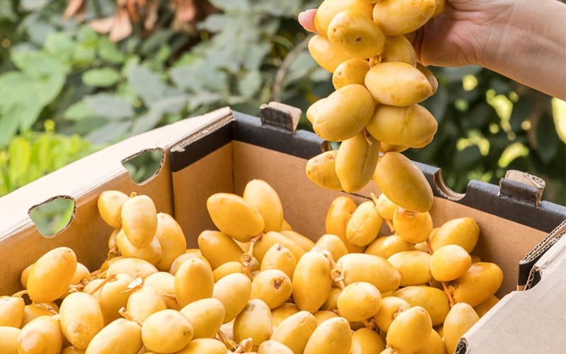 Loại quả bán đầy chợ Việt là món khoái khẩu của dơi mang virus Nipah, chuyên gia khuyên tuyệt đối không ăn nếu có dấu hiệu này - ảnh 2