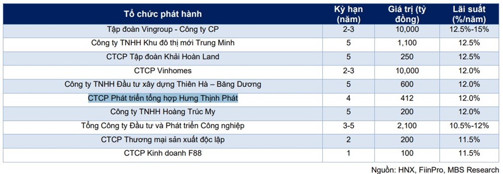 Điểm danh các doanh nghiệp phát hành trái phiếu lãi suất cao nhất 2024 - ảnh 2