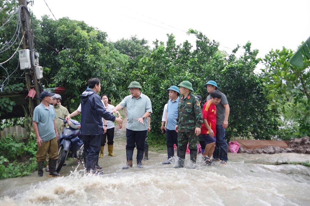 Hà Nội: Hàng trăm hecta lúa, hoa màu, cây cảnh Tết ngập trong nước lũ - ảnh 1