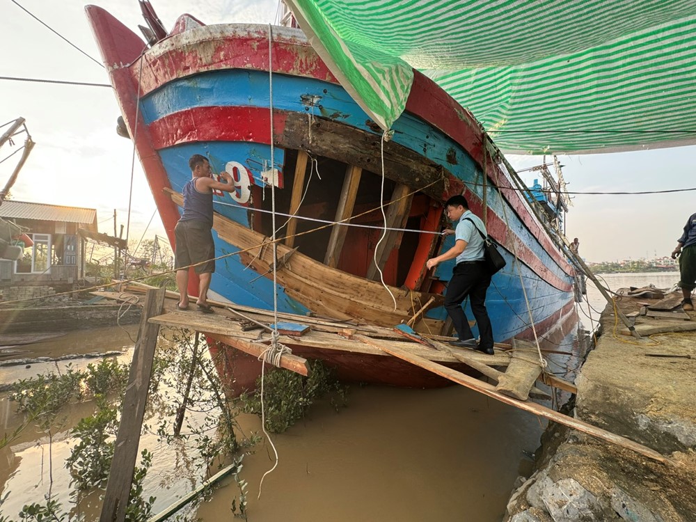 Bảo hiểm - Tấm lá chắn tài chính vững chắc giữa thiên tai - ảnh 1