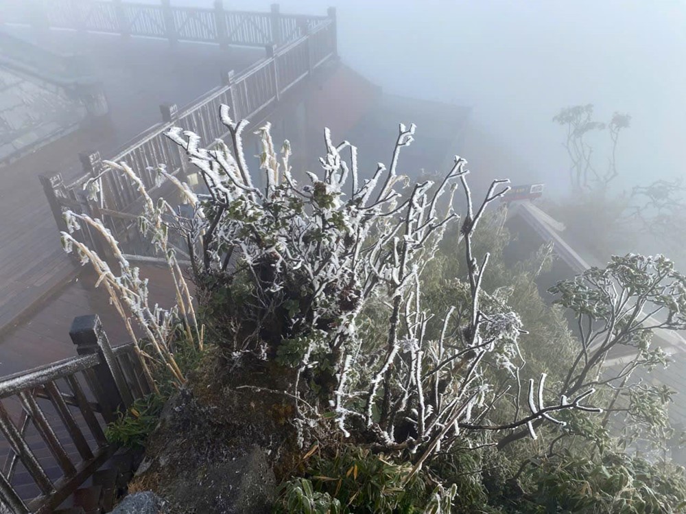 Nhiều du khách bất ngờ khi đỉnh Fansipan có băng tuyết - ảnh 8