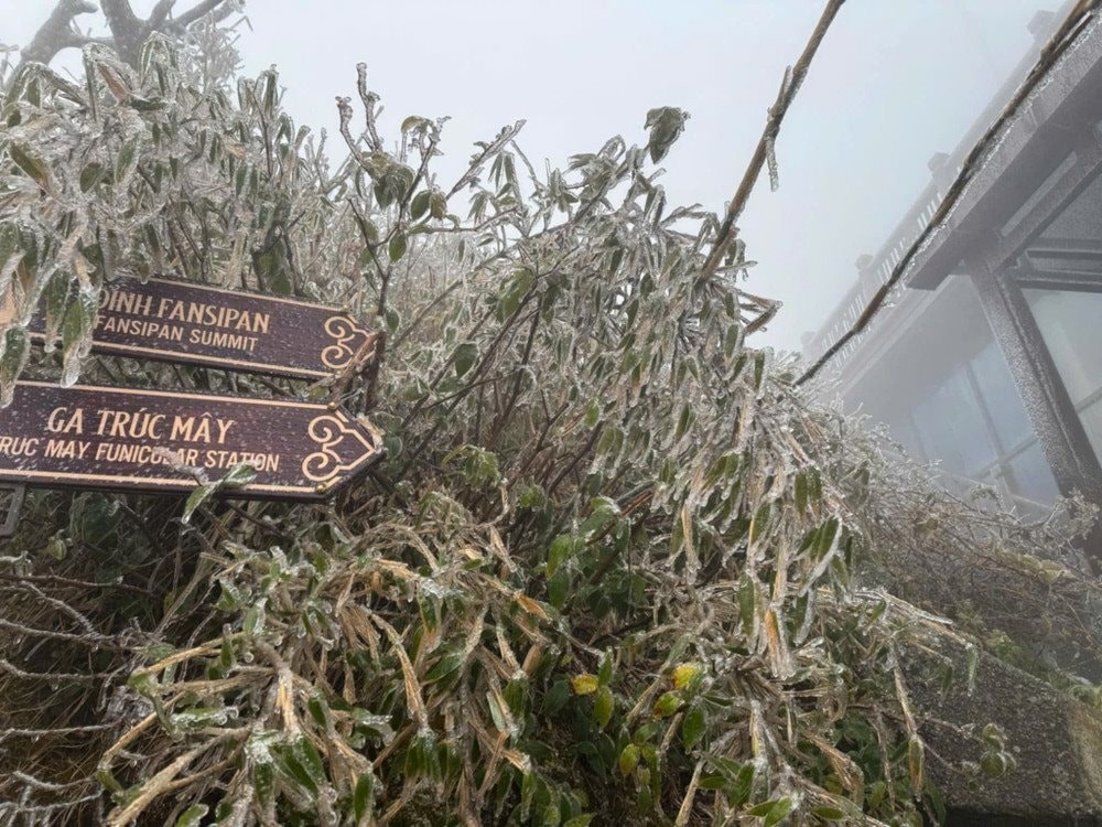 Nhiều du khách bất ngờ khi đỉnh Fansipan có băng tuyết - ảnh 3