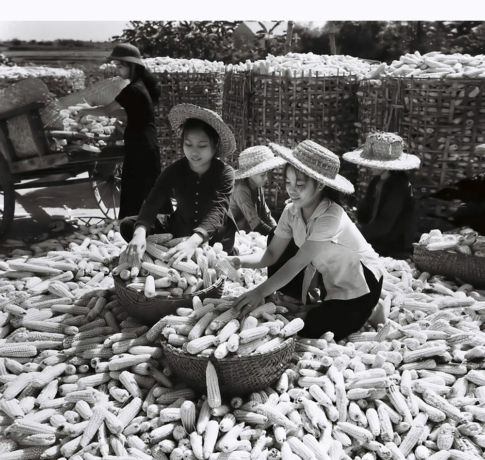 Phụ nữ trong phong trào “Ba đảm đang”: làm tròn nhiệm vụ hậu phương lớn cho tiền tuyến miền Nam - ảnh 1