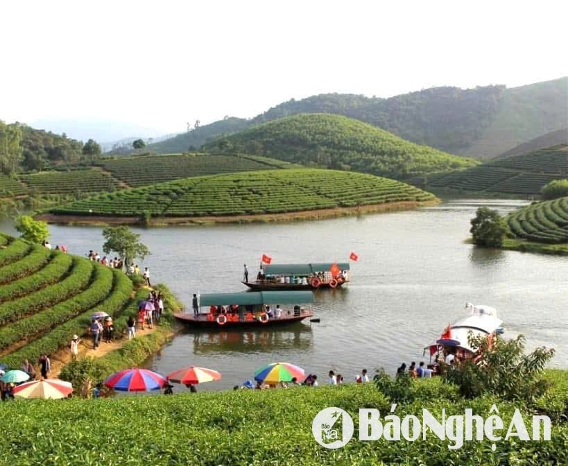 Đề xuất kiểm tra Đại dự án du lịch Đảo Chè - Cầu Cau - ảnh 2