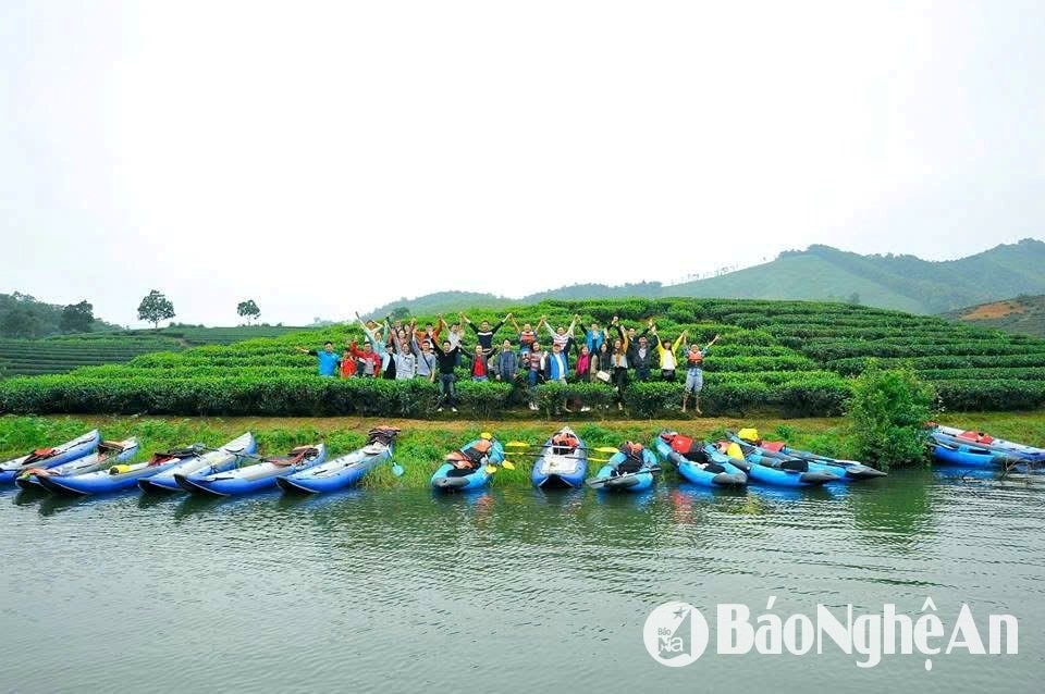 Đề xuất kiểm tra Đại dự án du lịch Đảo Chè - Cầu Cau - ảnh 6