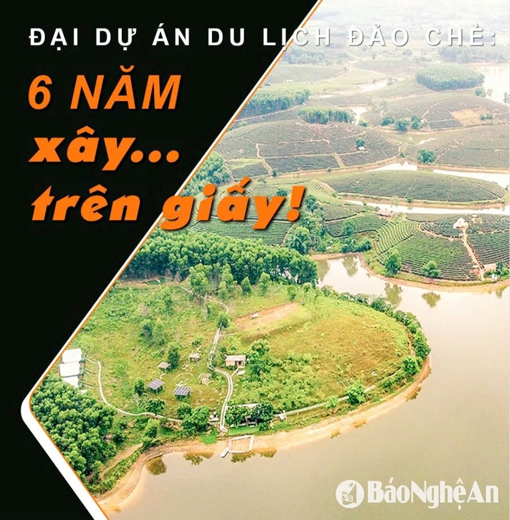 Đề xuất kiểm tra Đại dự án du lịch Đảo Chè - Cầu Cau - ảnh 5