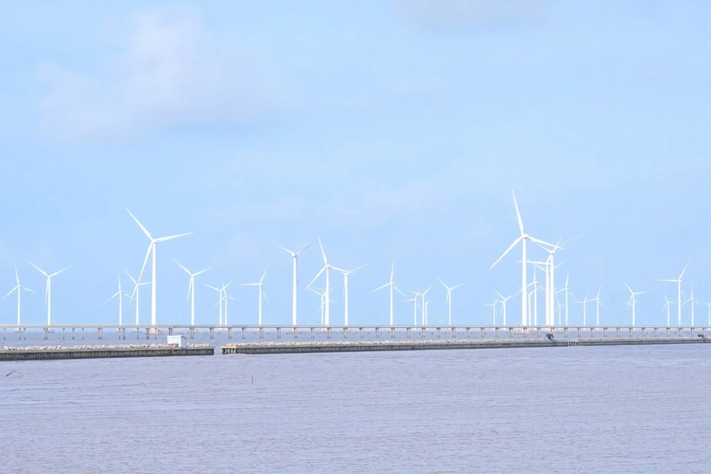 Trồng cây, phát triển rừng ngập mặn giúp bảo vệ tương lai bền vững tại Sóc Trăng - ảnh 3