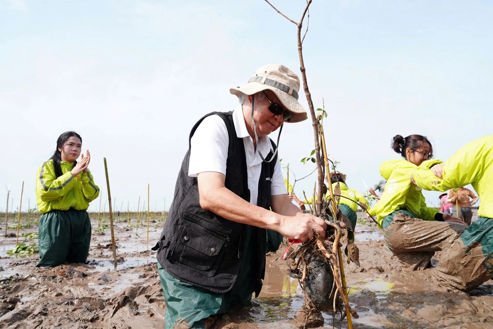 Trồng cây, phát triển rừng ngập mặn giúp bảo vệ tương lai bền vững tại Sóc Trăng - ảnh 10
