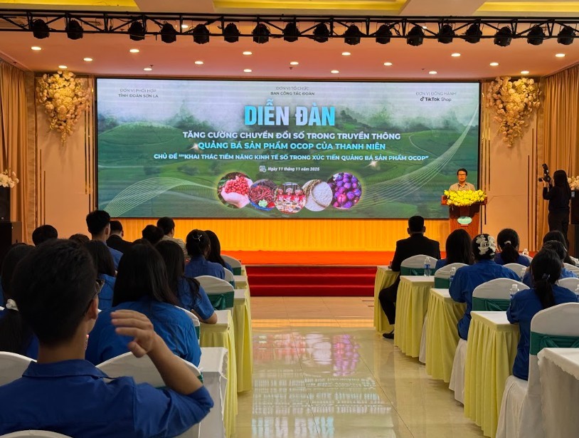 Thanh niên Sơn La đưa sản phẩm OCOP lên nền tảng số, ra mắt mô hình “Mỗi xã một KOLs” - ảnh 3