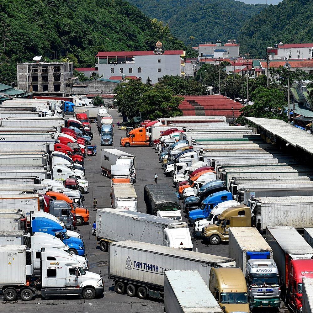 Hải quan trực 24/7, ưu tiên giải phóng hàng thực phẩm nhập khẩu - ảnh 1