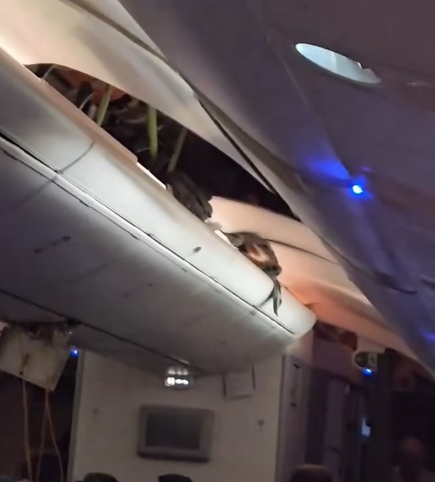 Máy bay Boeing hạ cánh khẩn cấp vì gặp nhiễu động: Hành khách 'treo lơ lửng' trong khoang hành lý, một số mảng trần bị 'xé toạc' - ảnh 2