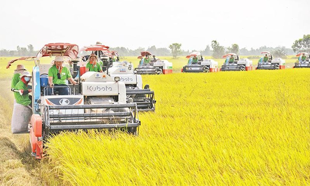 Kênh đào hơn 200 năm tuổi xác lập kỷ lục ‘kênh đào thủ công dài nhất’ Việt Nam: Huy động 90.000 dân binh làm việc hơn 4 năm, giúp 'ĐBSCL khỏi lo thiếu gạo ăn' - ảnh 4