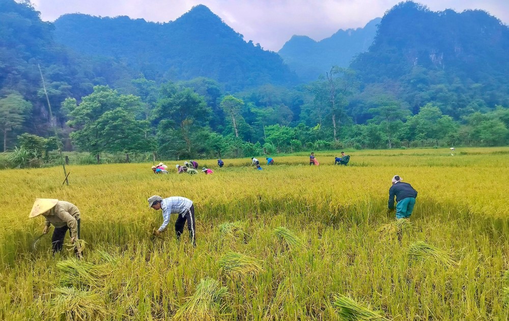 Bộ tộc 'bí ẩn thế giới' ở Việt Nam quen ở hang sâu, leo trèo trên vách đá, sở hữu phép thuật kỳ lạ làm khó khoa học  - ảnh 5