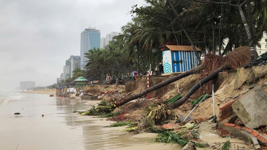 Bãi biển 'quyến rũ nhất hành tinh' của Việt Nam bị triều cường tàn phá, Chủ tịch TP chỉ đạo khẩn - ảnh 1