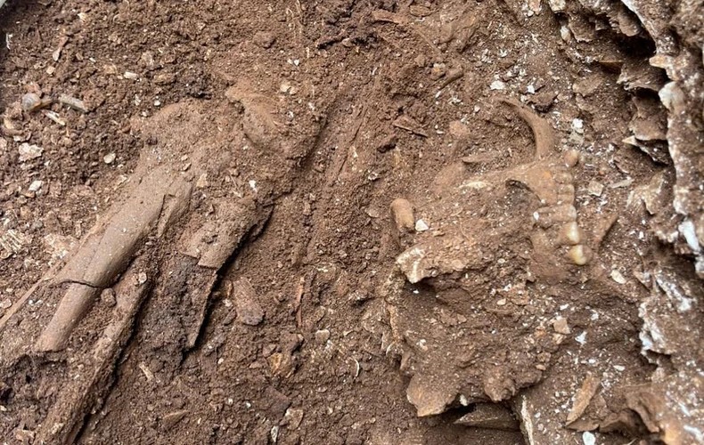 Bất ngờ phát hiện 9 bộ di cốt cổ tại tỉnh rộng nhất Việt Nam - ảnh 2