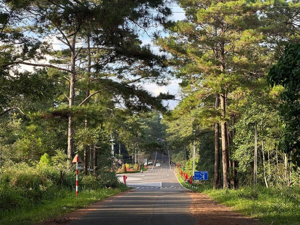 Tỉnh duy nhất Việt Nam vừa giáp 2 quốc gia, vừa giáp biển Đông sau sáp nhập: Có 43 dân tộc anh em cùng sinh sống, trở thành địa phương lớn thứ 5 cả nước về diện tích - ảnh 5