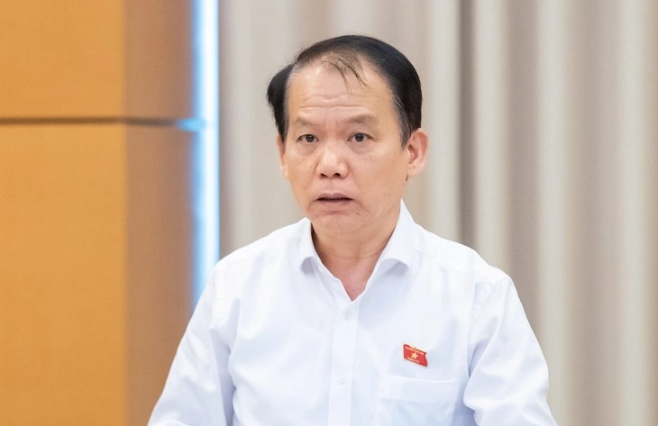 Đề xuất người được bổ nhiệm ở cơ quan Nhà nước phải 'chỉ có một quốc tịch Việt Nam' - ảnh 3