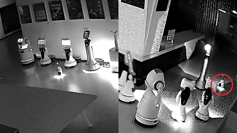Robot cao 70cm rủ 12 robot khác đào tẩu khỏi nơi làm việc, khiến giới công nghệ sửng sốt	 - ảnh 1