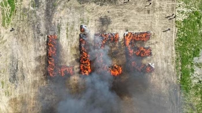 25.000 người dân trong cùng một thị trấn ‘phê’ cần sa ngoài ý muốn, nguyên nhân do cảnh sát - ảnh 2