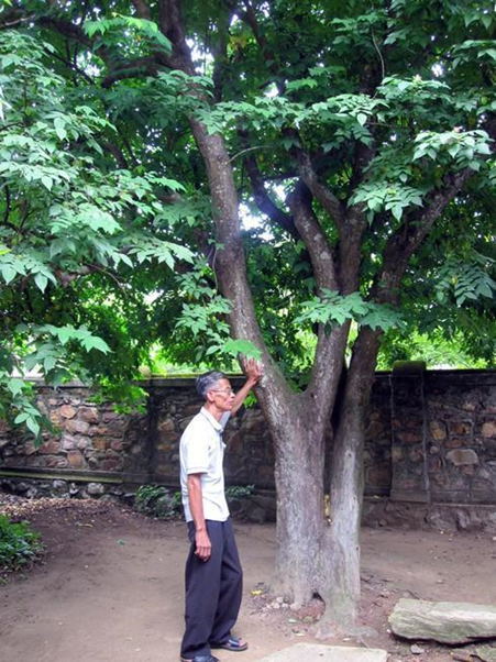 Căn nhà tuổi thơ của vị Đại tướng huyền thoại trong lịch sử hiện đại đánh bại 4 quốc gia trên thế giới, từng bị giặc Pháp đốt cháy hoàn toàn - ảnh 3