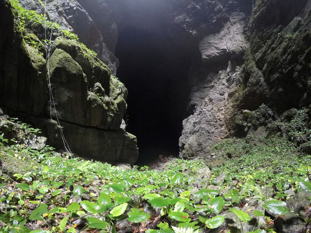 Bí ẩn bên trong hố sụt sâu 250m ẩn mình giữa lòng Di sản thiên nhiên thế giới của Việt Nam, chưa có nổi 10 người từng đặt chân xuống đáy - ảnh 4