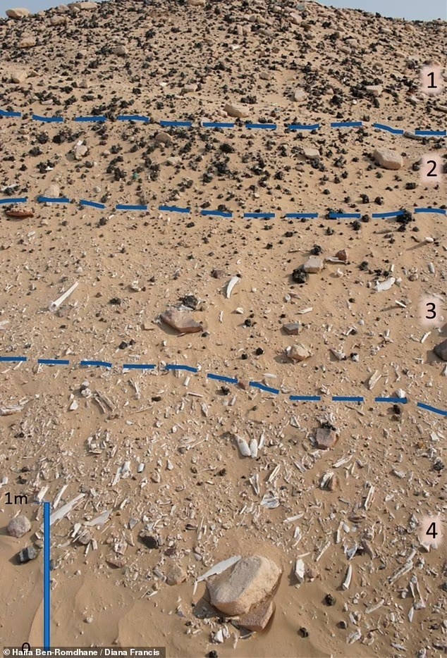 Tình cờ nhìn thấy gò đất lạ từ trực thăng, huy động công nghệ cao vào cuộc, bất ngờ phát hiện thành phố 5.000 năm tuổi bị chôn vùi dưới lòng hoang mạc lớn bậc nhất hành tinh gây chấn động giới khảo cổ - ảnh 3