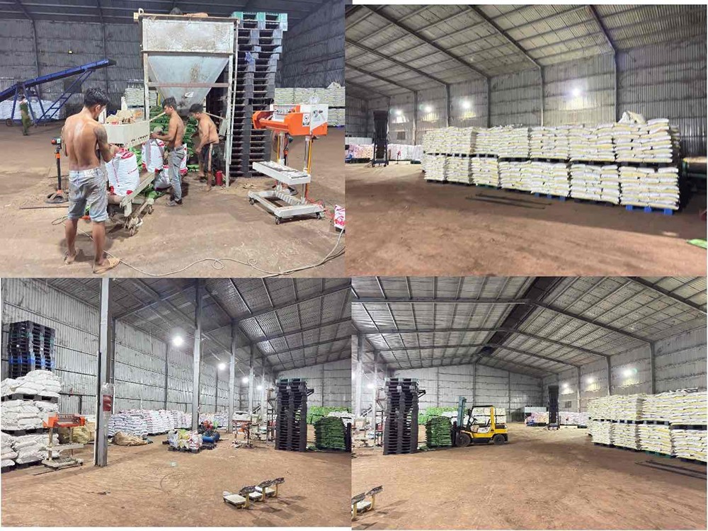 Bắt 2 anh em Giám đốc Mai Xuân Tưởng, Mai Văn Đức - ảnh 3