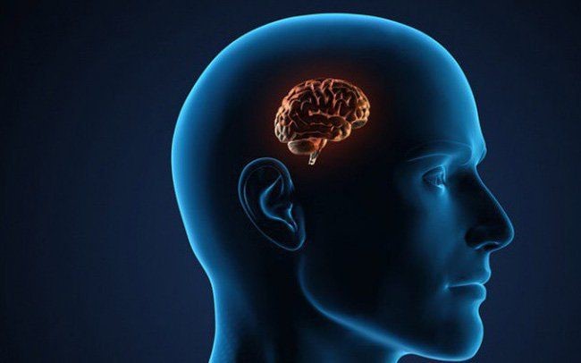 Nguy cơ teo não, giảm trí nhớ từ một thói quen gần như dân văn phòng nào cũng mắc phải - ảnh 2