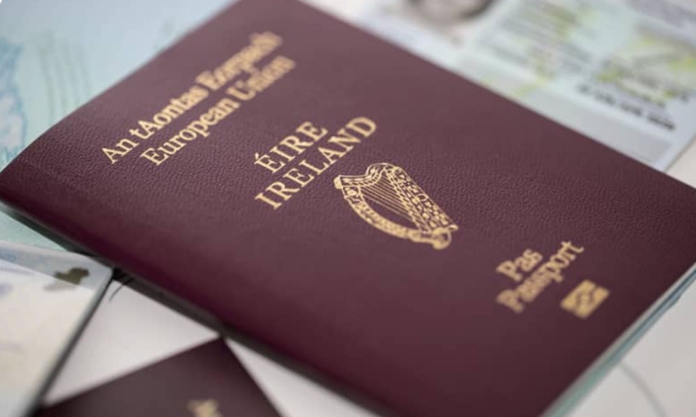 Quốc gia châu Âu ‘cấp hộ chiếu’ cho bò và lý do bất ngờ phía sau khiến cả EU phải học theo - ảnh 2